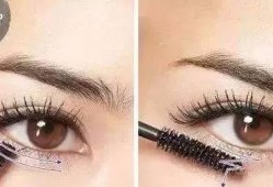 蝇化妆 在线观看,跟随“蝇化妆”在线揭秘美妆奥秘