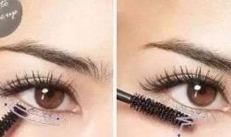 蝇化妆 在线观看,跟随“蝇化妆”在线揭秘美妆奥秘