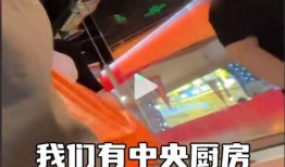巴奴爆料博主视频大全,揭秘美食背后的故事与真相