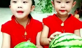 吃瓜小妈免费全集在线观看,免费全集在线观看，揭秘娱乐圈幕后风云