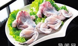 牛蛙厨师爆料视频大全,揭秘视频大全中的烹饪奥秘与行业内幕