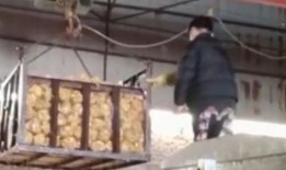 消毒液爆料视频播放网站,热门网站深度解析