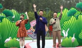 娱乐爆料华哥视频大全最新,视频大全大揭秘！