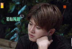 娱乐圈真实爆料任嘉伦