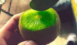 抖音吃瓜的网红,揭秘娱乐圈幕后故事