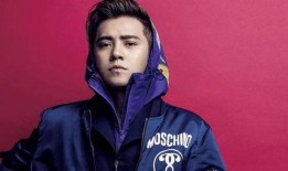 罗志祥有人爆料吗视频下载,有人爆料真相揭晓