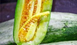 吃网红的瓜在线看,吃瓜群众在线观看的幕后故事