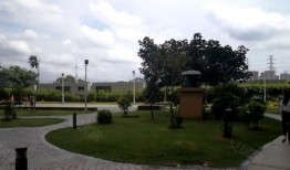 九龙小区爆料视频,真实生活场景引发热议