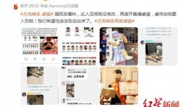 近期网红爆料新闻视频