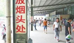 洛阳汽车站爆料事件视频,视频揭露惊人真相