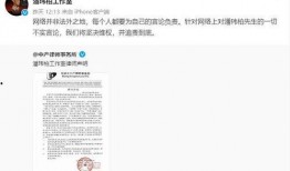 娱乐圈被抓爆料的是谁,揭秘神秘人物身份