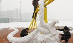 新闻爆料巨蟒,神秘生物引发广泛关注