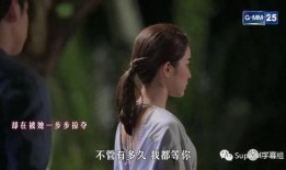 试探的爱2在线观看,情感漩涡中的爱恋抉择