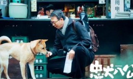忠犬八公电影在线观看,永恒的守候，跨越生死的忠诚
