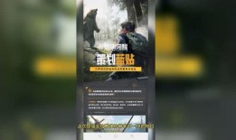 最新爆料玩法视频,玩法视频带你领略游戏新境界