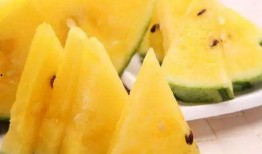 免费吃的瓜最新,揭秘网络热传免费瓜背后的真相