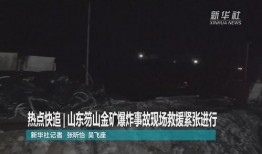山东最新爆料事件视频完整版,视频揭露惊人真相，完整版震撼来袭