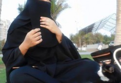 娱乐吃瓜君未婚妻,揭秘吃瓜君未婚妻背后的神秘故事