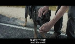 电影骡子在线观看,身陷毒网，救赎之路