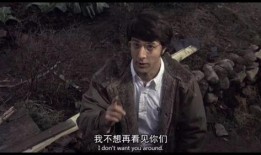 稻草狗在线观看1971,稻草狗在线观看，揭秘那段风云变幻的历史岁月