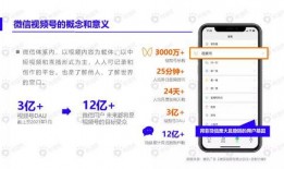 小白牙最新爆料视频下载,热点事件背后的真相全解析