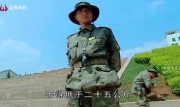 history系列在线观看视频在线观看,history系列视频深度解析