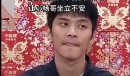 辛巴爆料三只羊事件视频完整版