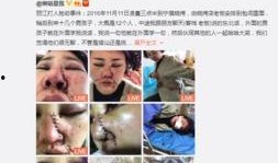 东北网红事件爆料视频,揭秘背后惊人真相