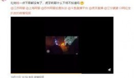 郴州爆料网红事件真相视频,真相视频曝光背后的真相