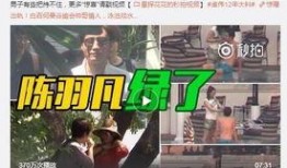 《小远爆料》第一集视频,揭开神秘面纱，探寻真相之旅