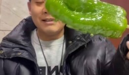 临沂网红吃瓜主人公,揭秘幕后真相与网络舆论风暴