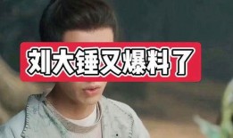 刘大锤爆料娱乐圈永远,刘大锤爆料，内幕重重引热议