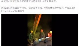 爆料农夫山泉事件视频播放,揭秘瓶装水背后的真相