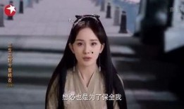 师兄弟爆料杨幂视频播放,师兄弟爆料背后的精彩瞬间