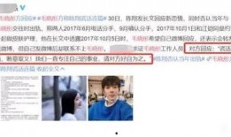 陈翔助理爆料事件视频全集,视频全集揭秘惊人内幕