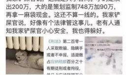 催永元最新爆料,揭秘娱乐圈惊人内幕！”