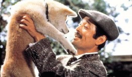 忠犬八公电影在线观看,永恒的守候，跨越生死的忠诚