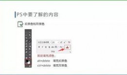 怎样做爆料视频教学下载,如何制作并下载热门爆料视频教程