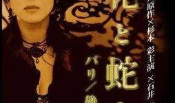 巴黎静子在线观看,在线观看，穿越时空的浪漫之旅