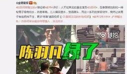 网友视频事件大爆料下载,大爆料背后的真相与争议