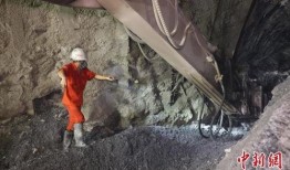 老秦八卦爆料视频大全最新,最新视频大全深度解析