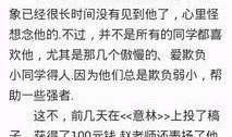 新闻大爆料作文500字,真相与舆论的碰撞